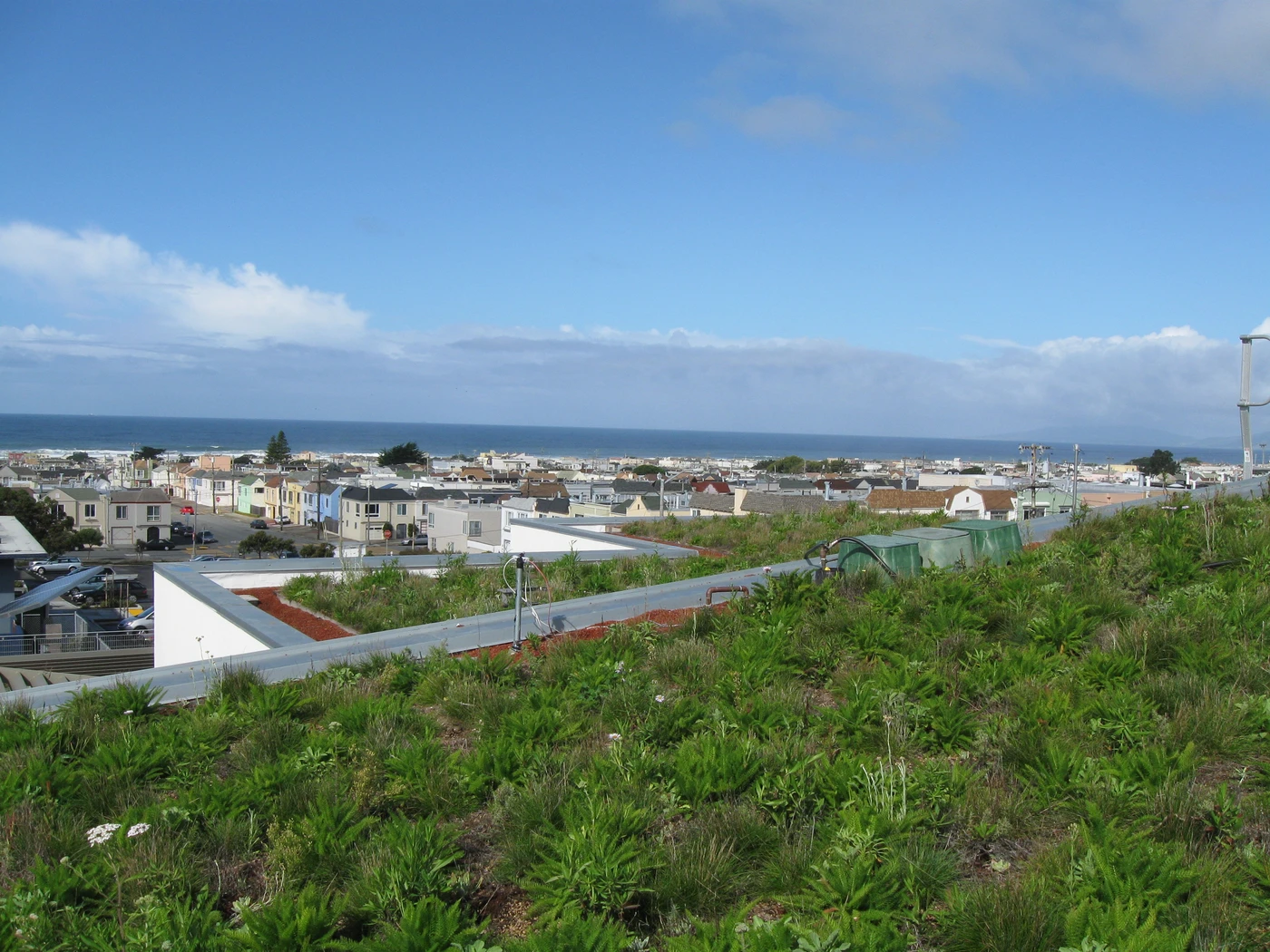 Picture of Vegetated